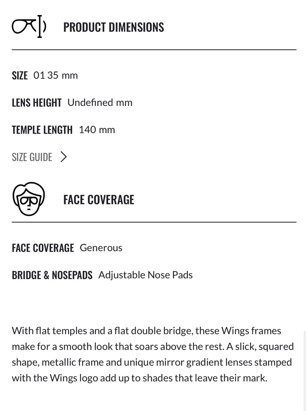 Ray-Ban Wings II Sunglasses - Picture 11 of 11